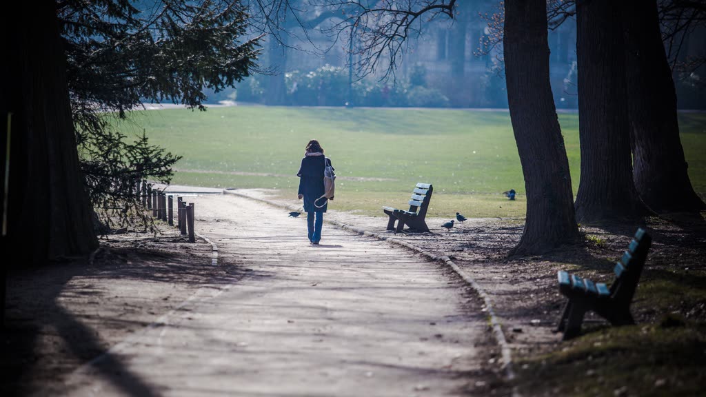 A person walking alone along a park path, seen from behind