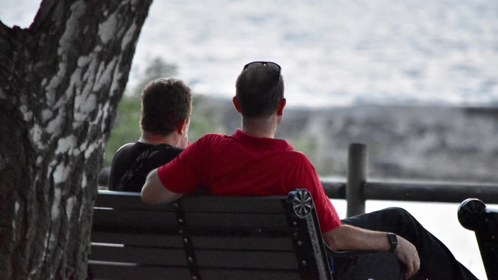Two people sitting on a park bench, seen from behind