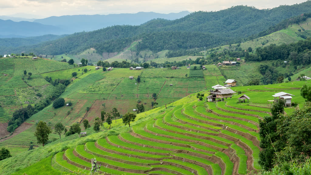 Rice terraces on green hillsides at Pa Bong Piang, Mae Chaem district, Chiang Mai province